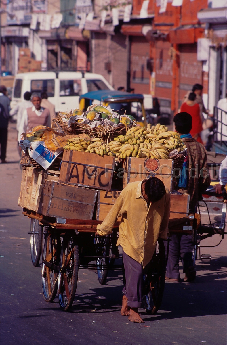 Jodhpur, Rajasthan, India
 (cod:India 36)